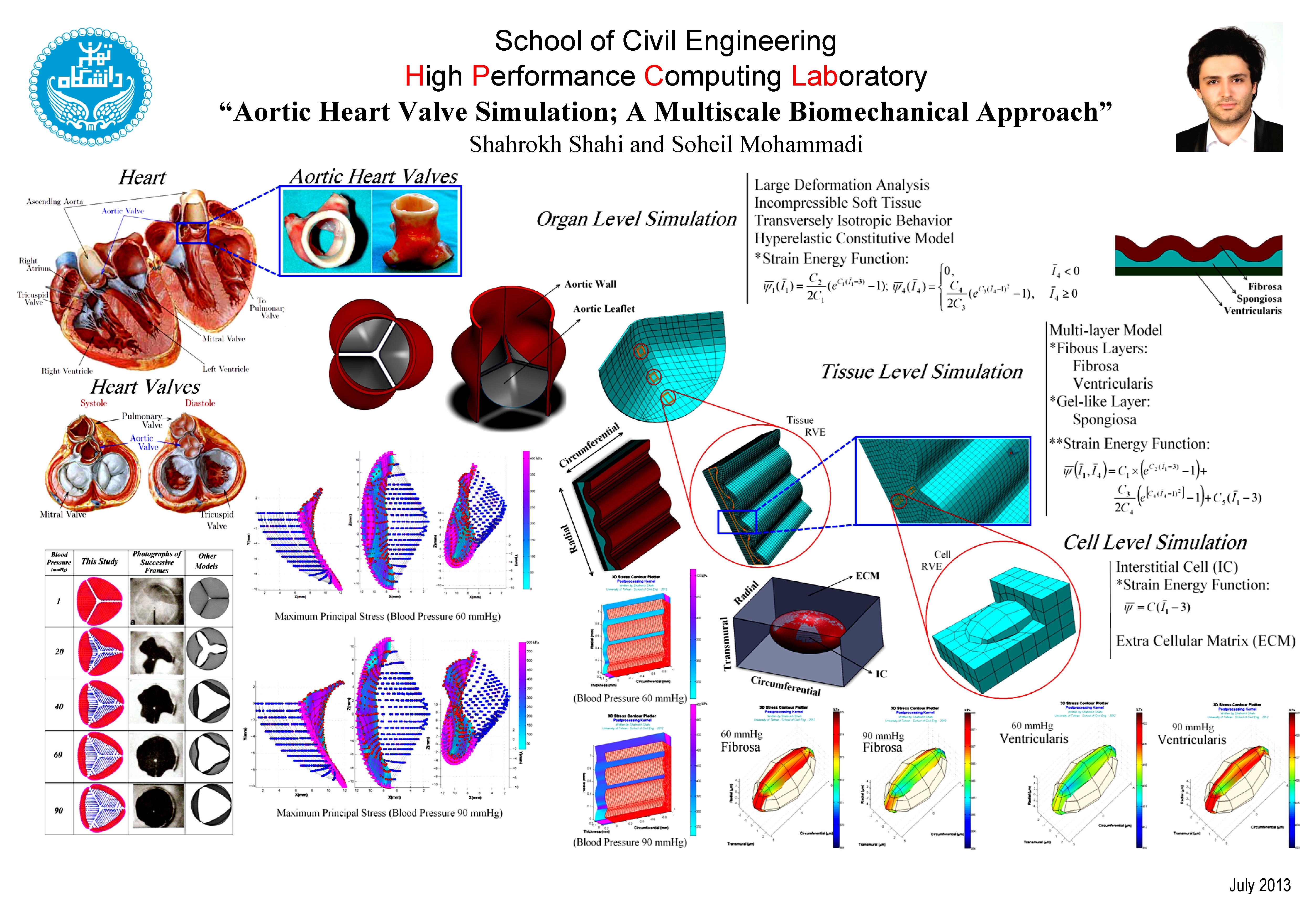 multiscale simulation of biomechanicsl structures